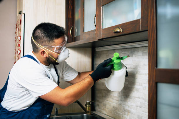 Best Cockroach Control Services  in Little Round Lake, WI
