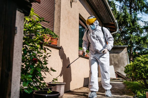 Best Bed Bug Extermination  in Little Round Lake, WI