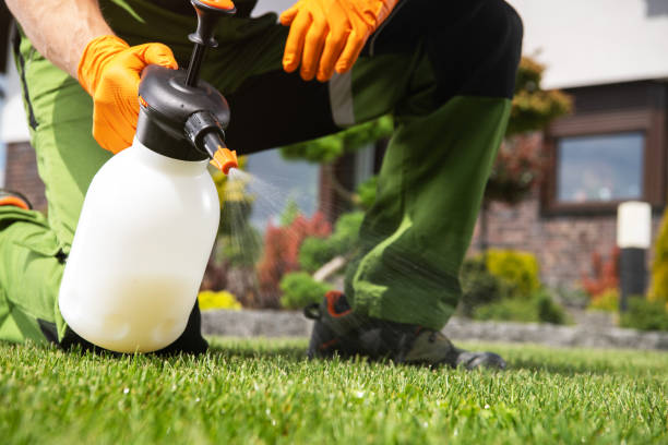 Best Flea Control Services  in Little Round Lake, WI