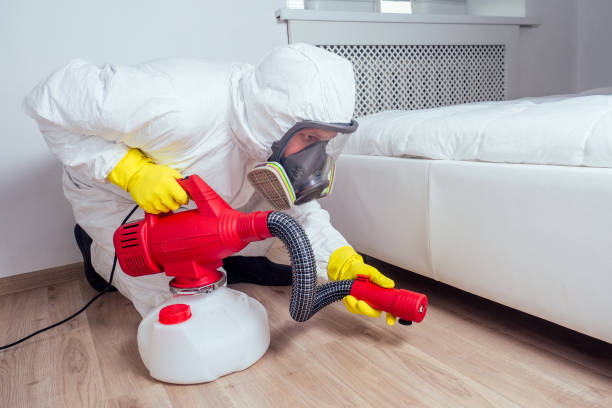 Best Wasp Removal Services  in Little Round Lake, WI