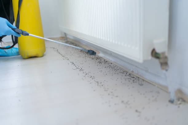 Best Pest Control Near Me in Little Round Lake, WI