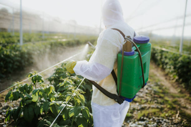 Best Exterminator Services  in Little Round Lake, WI